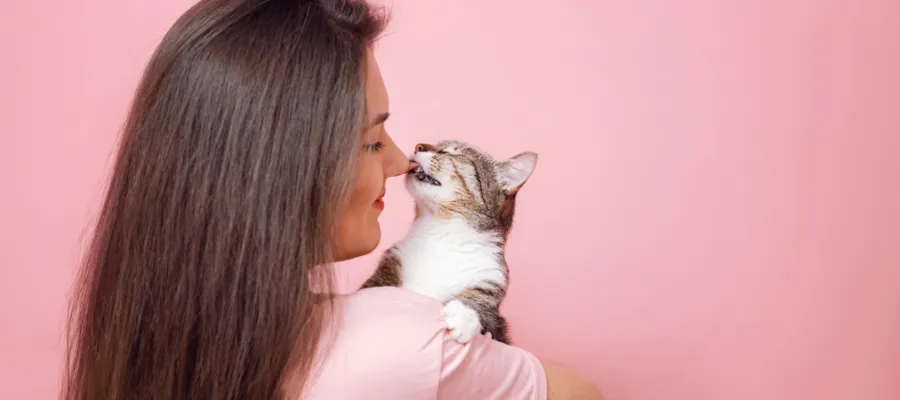 What Do Cats and Teenagers Have in Common? What Do Cats and Teenagers Have in Common?