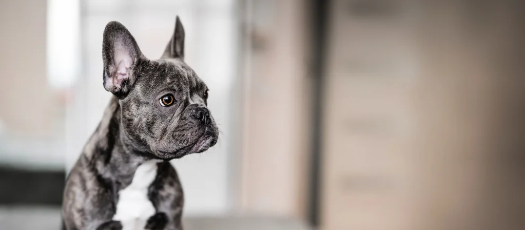 QA TEST 555 QA TEST 555