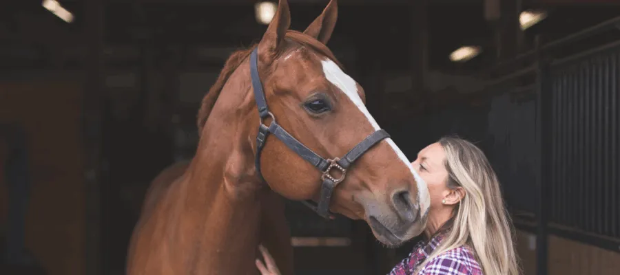 How to Care for Your Horse with ZYMOX Grooming and Skin Solutions