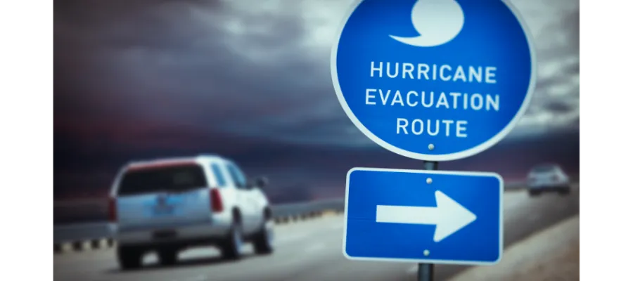 Pets Impacted By Hurricanes Receive Help from Pet King Brands