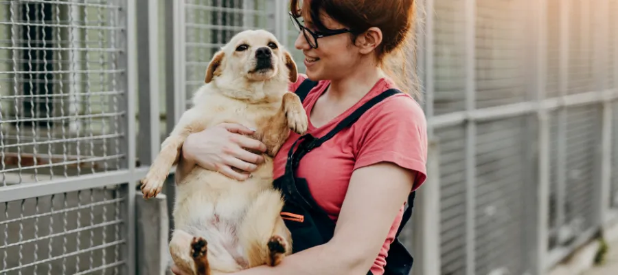 New Beginnings: Caring For Your New Pet New Beginnings: Caring For Your New Pet