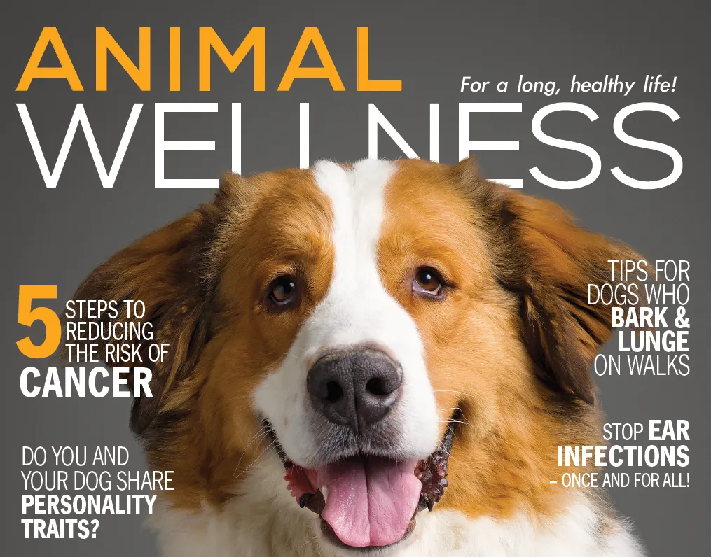 Animal_Wellness_Magazine_Dog_Ear_Infections_June_2019