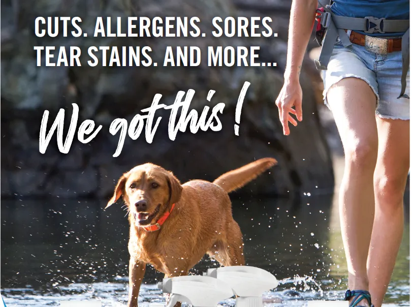 Pet_First_Aid.Pet_Business_October_2019