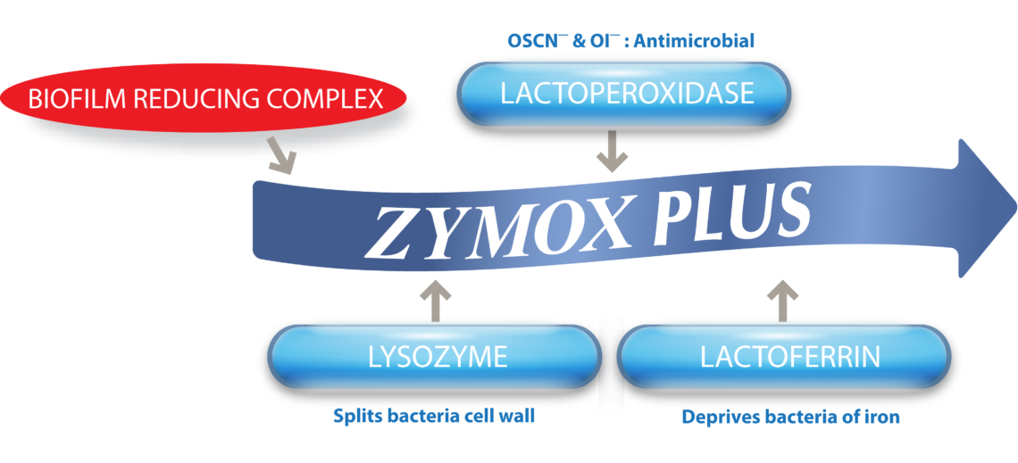 Zymox Plus