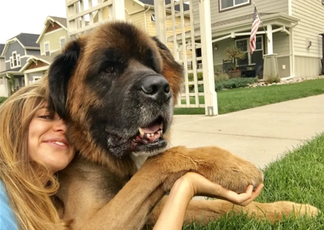 Celebrate_National_Dog_Day_with_14_dog-approved_favorites