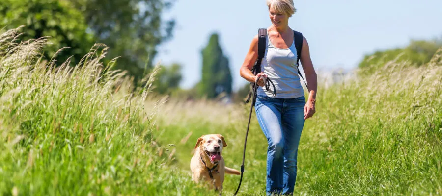 Take A Hike with Your Dog…and Yes, Even Your Cat! Here are some tips and must-have hiking items to ensure the outdoor adventure is safe. Take A Hike with Your Dog…and Yes, Even Your Cat! Here are some tips and must-have hiking items to ensure the outdoor adventure is safe.