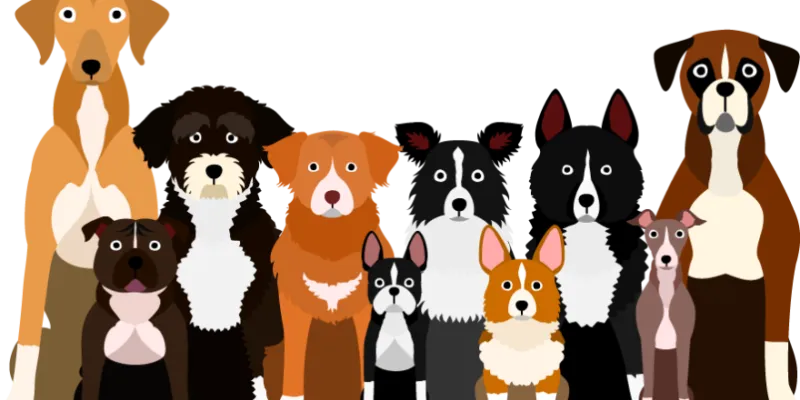 Top Dogs Prone to Dental Problems Top Dogs Prone to Dental Problems