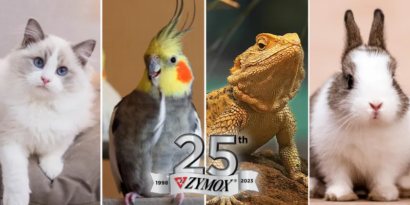 Pet King Brands Celebrates its 25th Anniversary by Introducing New Products at SuperZoo 2023 Pet King Brands Celebrates its 25th Anniversary by Introducing New Products at SuperZoo 2023