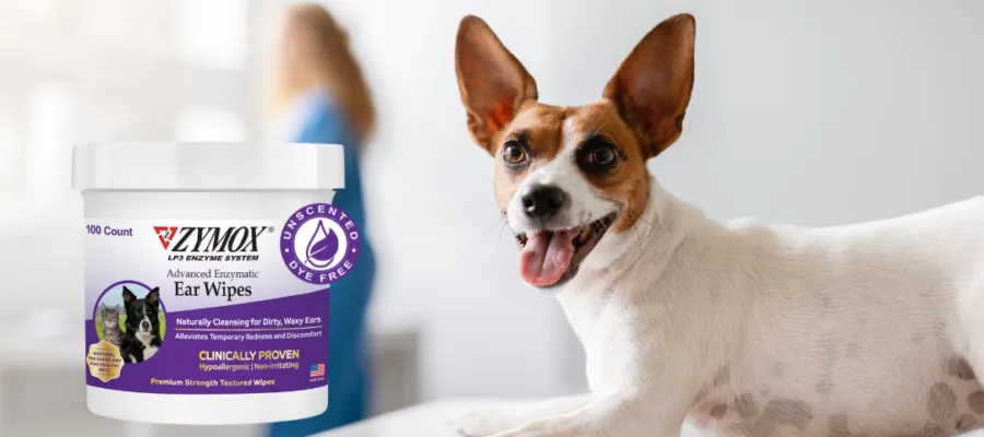 Unleashing Innovation: ZYMOX Advanced Enzymatic Ear Wipes Unleashing Innovation: ZYMOX Advanced Enzymatic Ear Wipes
