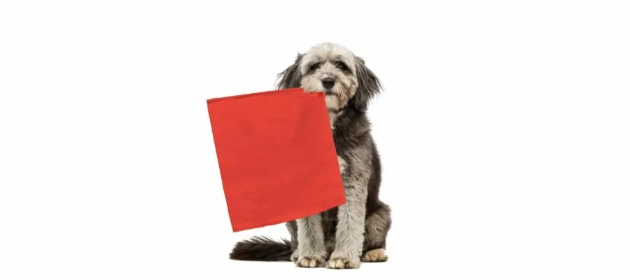 Dry Mouth: Learn to Spot the Red Flags Dry Mouth: Learn to Spot the Red Flags