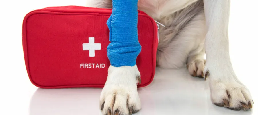 Unleash Your Inner Mutt-gyver Tips, Tricks and Tactics to Render Aid to Injured Pets Unleash Your Inner Mutt-gyver Tips, Tricks and Tactics to Render Aid to Injured Pets