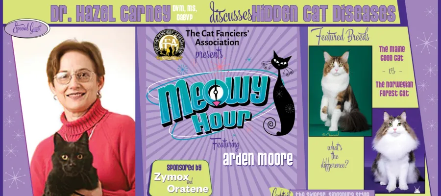 Tune in and Celebrate ALL Cats on Meowy Hour Tune in and Celebrate ALL Cats on Meowy Hour