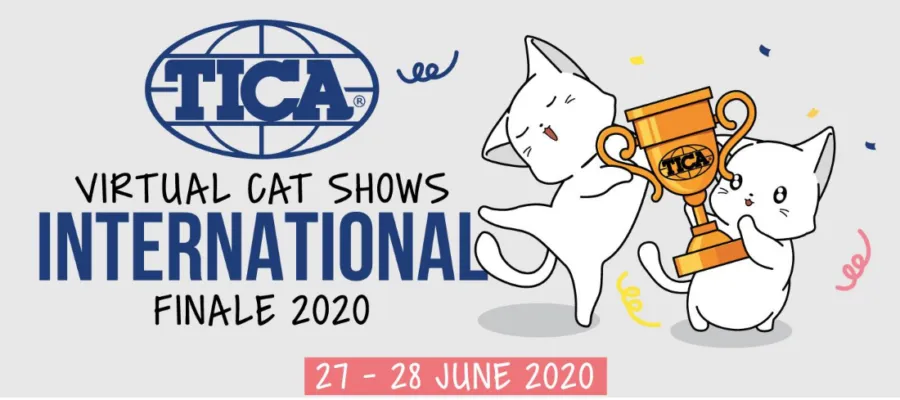 Having FUN Virtually – The TICA Virtual Cat Show Having FUN Virtually – The TICA Virtual Cat Show