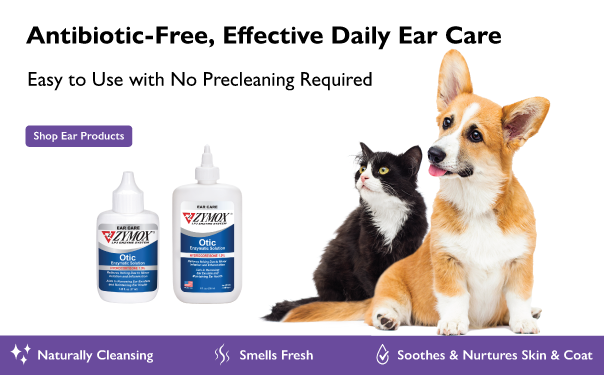 Web-Headers-Mobile-Ear