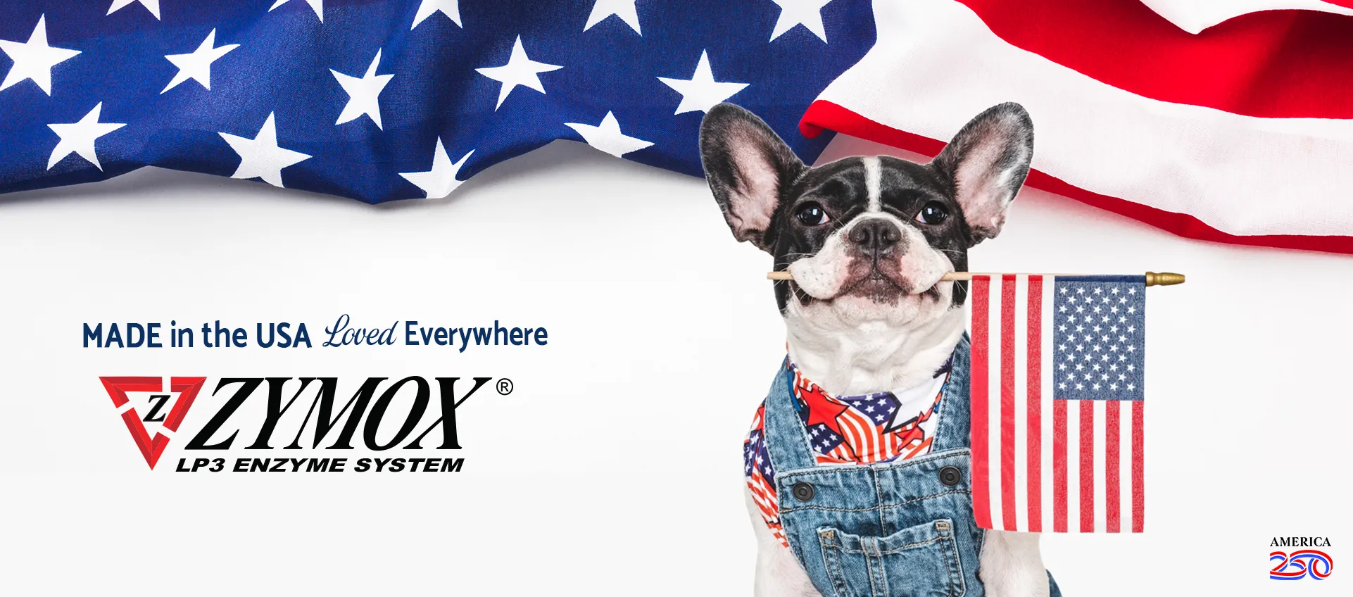 usa-Web-Slider-America250logo