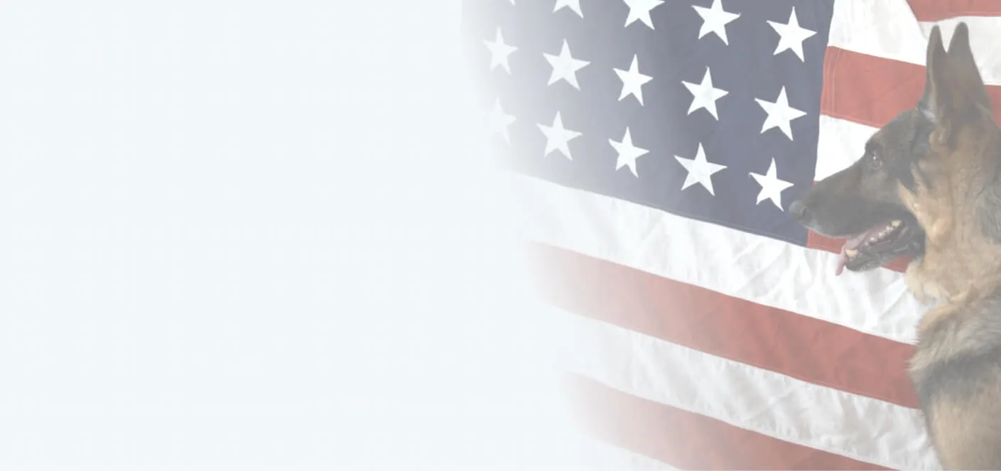 made-in-usa-background-2-1