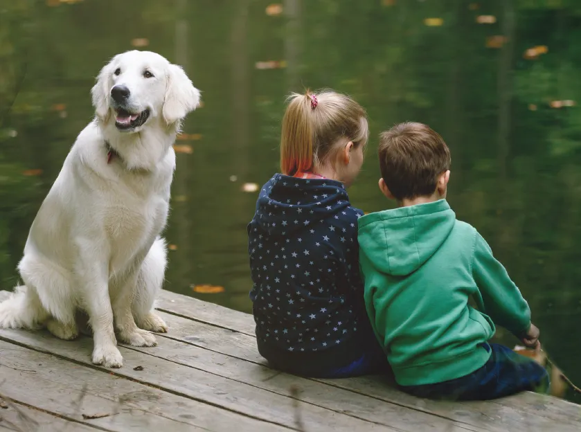 Women_in_the_Pet_Industry_Profiles_Pamela_Bosco_Spring_2019