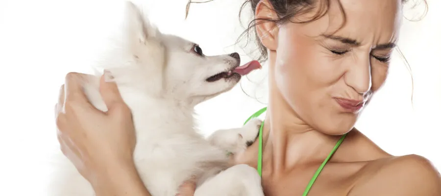 Help Is Here for Doggy Breath and Dry Mouth in Your Dog and Yes, Even in Your Cat Help Is Here for Doggy Breath and Dry Mouth in Your Dog and Yes, Even in Your Cat