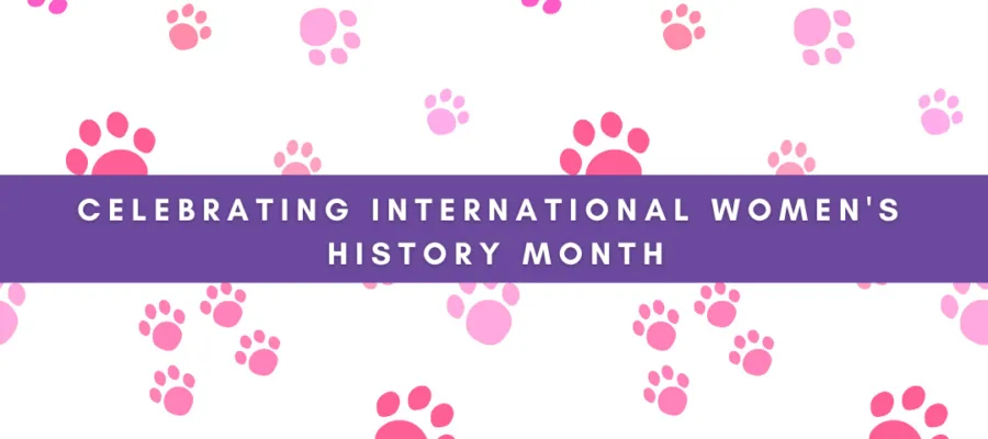 International Women’s History Month: Spotlight on Pamela K Bosco, Pet King Brands, Inc President and Owner International Women’s History Month: Spotlight on Pamela K Bosco, Pet King Brands, Inc President and Owner