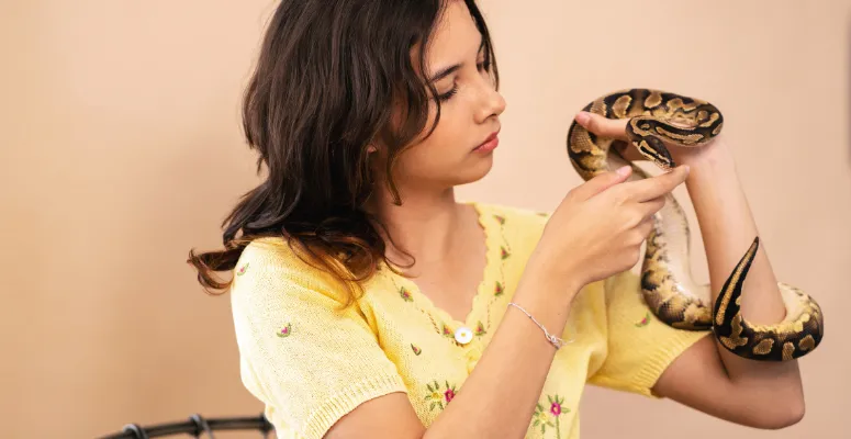 Why Snakes Make Awesome Pets Why Snakes Make Awesome Pets