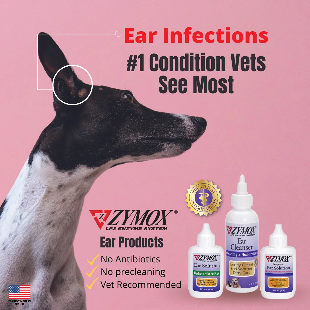 Ear Infections are #1 (3)