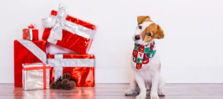Preventing the Holidays from Turning into the Howl-i-days: Your Guide to Keep Your Pets Safe, Active and Healthy this Holiday Season Preventing the Holidays from Turning into the Howl-i-days: Your Guide to Keep Your Pets Safe, Active and Healthy this Holiday Season