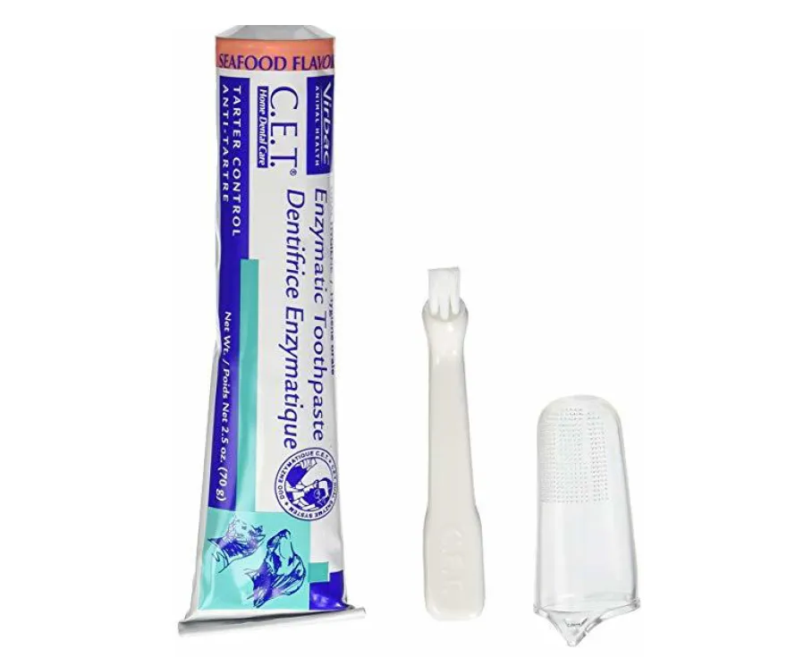 Top_5_Best_Cat_Toothpastes_in_2019___CatCareAdvices