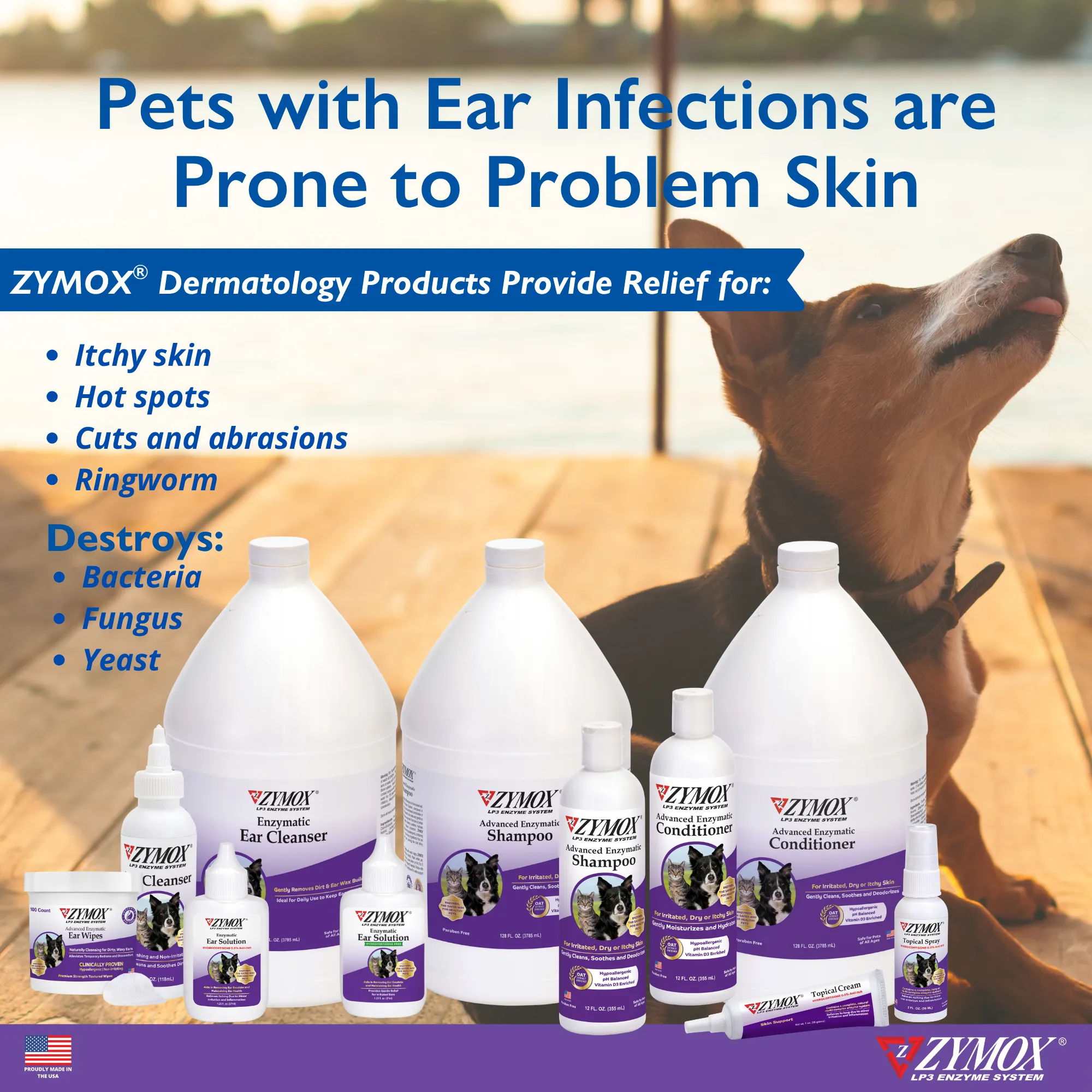 ZYMOX Advanced Enzymatic Conditioner - 12 oz