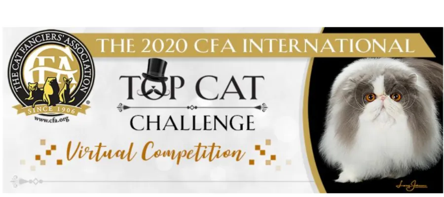 CFA Top Cat Challenge CFA Top Cat Challenge